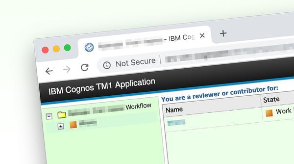 Colorize Cognos TM1 Application Portal